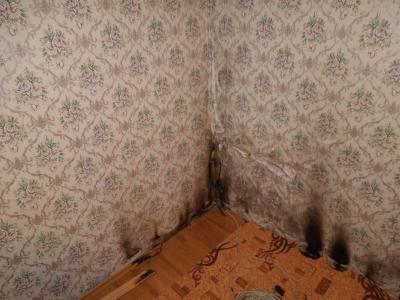 фото издательства 