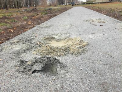 Рязанцев удивило качество гранитного отсева в парке Гагарина