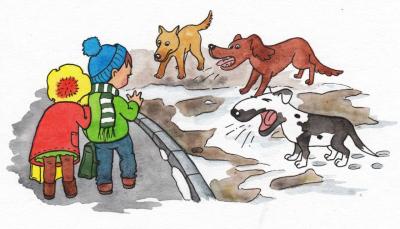 Рязанцам посоветовали не улыбаться бродячим собакам