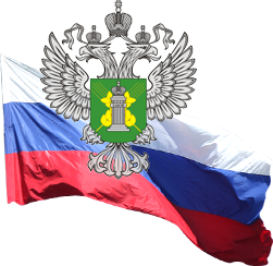 В рязанском гипермаркете нашли семена без документов