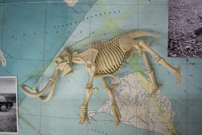 В Рязани открыта выставка резьбы по кости