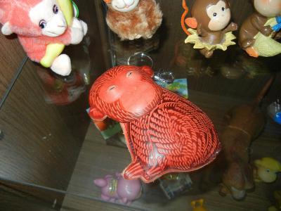 Рязанцы могут взглянуть на ушастых детей земли нашей