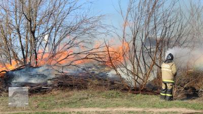 Фото: ИД «Пресса»
