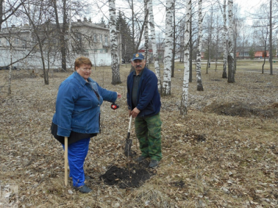 В Чучково появилась аллея памяти