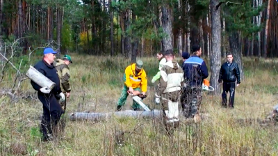 В Кадомском районе прошёл масштабный лесной субботник