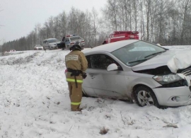 В ДТП в Путятинском районе пострадало несколько человек