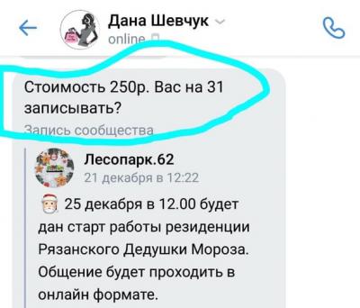 Мэрия предупредила рязанцев о мошенниках, собирающих деньги на общение с Дедом Морозом