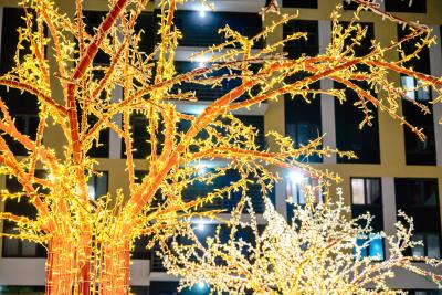 На празднике в ЖК Skyline разыграют велосипед, самокат и скидку на квартиру