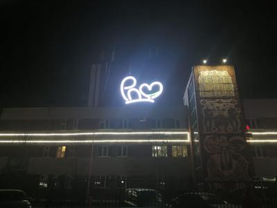 Рязанский Дворец молодёжи обзавёлся светящимся знаком