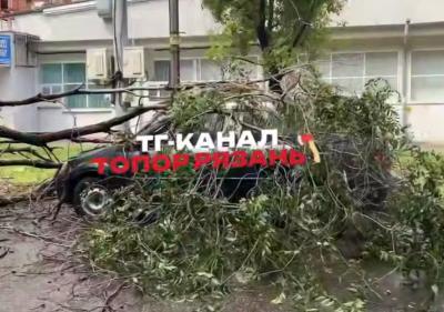В Горроще Рязани дерево упало на автомобиль
