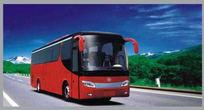 Юные пителинцы побывали в аквапарке «Горки» и Рязанском кремле