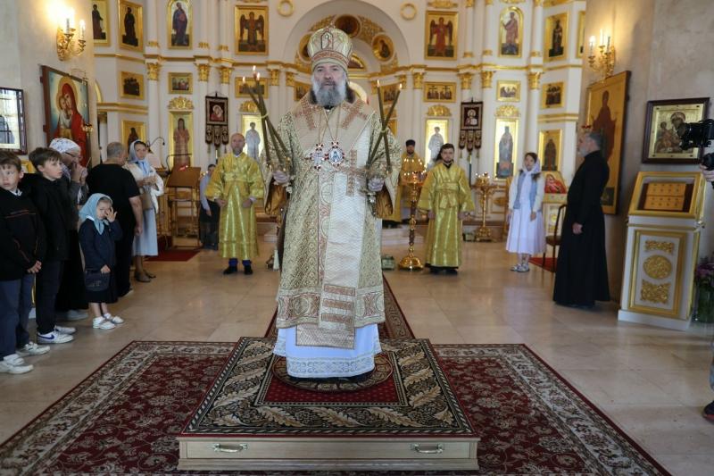 Рязанский епископ Питирим напомнил, что театры и литература — величайшее зло