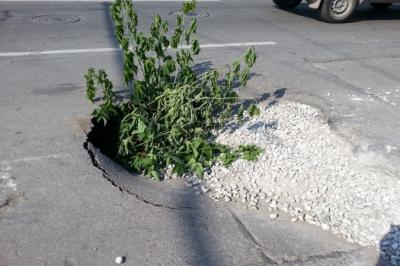 На улице Горького Рязани вновь провалился асфальт 