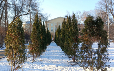 В Рязанской области днём потеплеет до минус 2 градусов