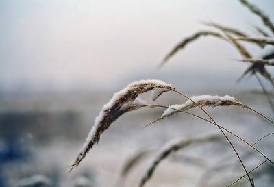 Рязанщина готовится к посевной