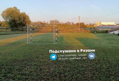 В Рыбновском районе хотят снести детскую площадку, построенную на средства граждан