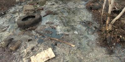 Рязанцы пожаловались на нечистоты в Лыбеди