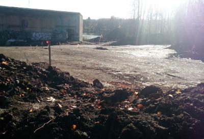 Работы по благоустройству ЦПКиО возобновят на текущей неделе