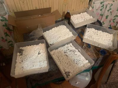 В Шацком районе ликвидировали крупную нарколабораторию