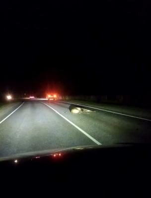 Фото: телеграм-канал «Автоклуб Касимов»