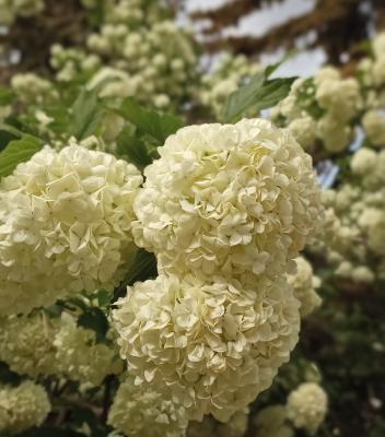 Рязанцам пообещали небольшой дождь