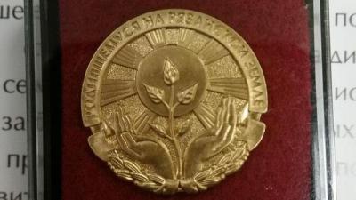 Касимовским новорождённым выдали памятные знаки