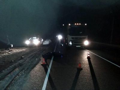 Близ Сасово фура задавила липчанина