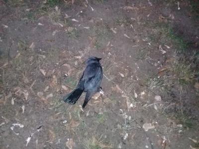 Фото пользователя ВК Алексея Сидорова