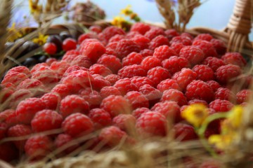 Рязанцев приглашают на традиционный фестиваль «Малина»