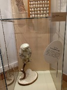 1000053325.jpg title=