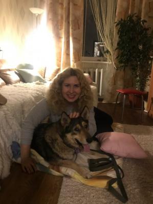 Фото: группа «Cлужба по контролю за безнадзорными животными» в соцсети «ВКонтакте»