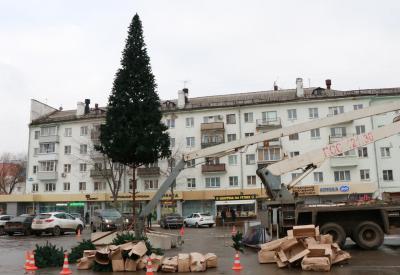 Рязань украсит 31 новогодняя ель