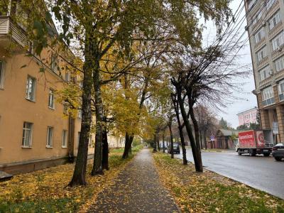 Рязанцам прогнозируют умеренный дождь