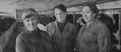 Михайловские животноводы получили полумиллионную прибыль