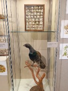 1000053328.jpg title=