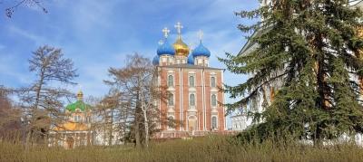 В Рязанском кремле запретили кормить голубей