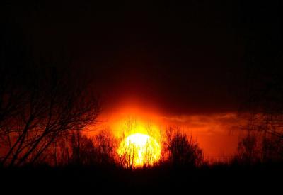 В Касимове наблюдали световой столб и красивый закат