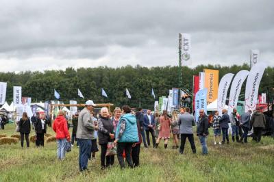 День поля в 2025 году пройдёт в Рязанской области в Кораблинском районе