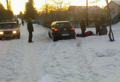 Пьяный житель Скопинского района задавил двух односельчан