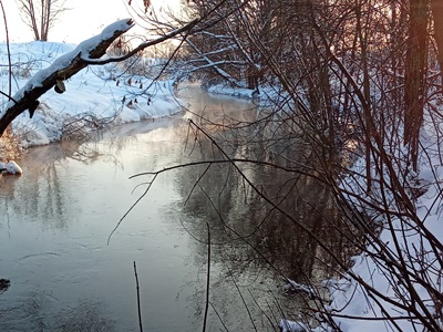 Рязанцам объяснили, почему зимой в городе не замерзают реки