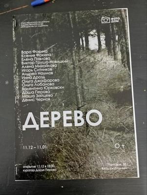 В Рязанском «Фотодоме» посадили диковинное «Дерево»