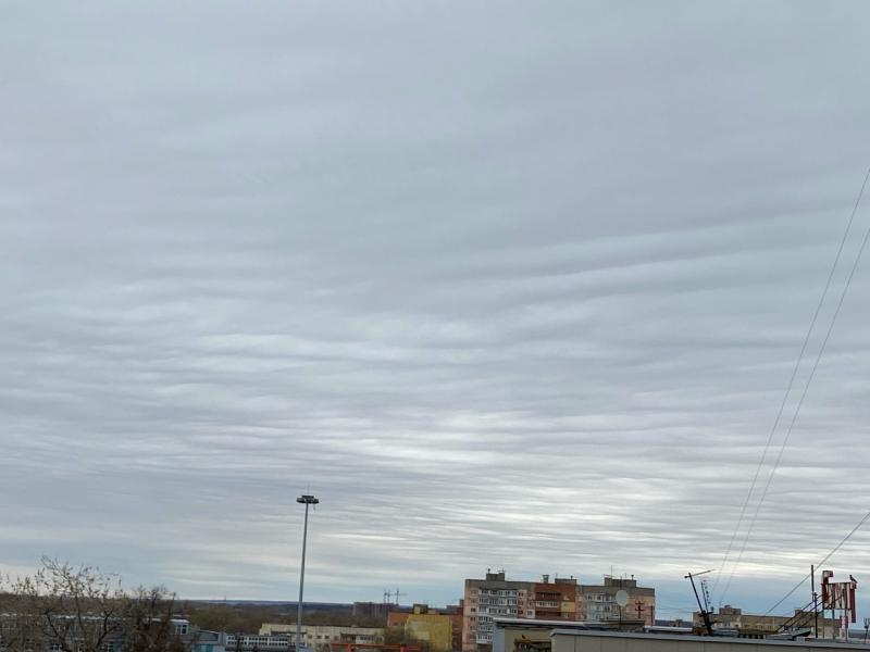 Фото: пользователь соцсети «ВКонтакте» Ольга Кулакова