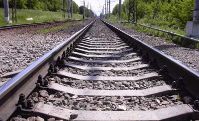 На границе Чучковского и Сасовского районов под колёсами поезда погибла женщина