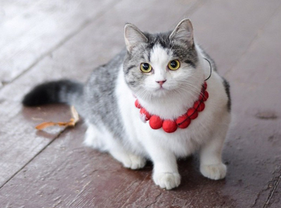 Фото: Рязанский областной научно-методический центр народного творчества