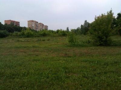 Благоустройство зелёной зоны на Советской Армии внесено в профильную программу Рязани