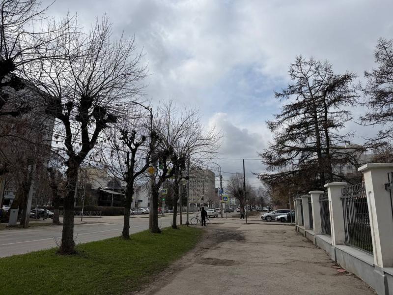 Рязанцев предупредили об усилении северного ветра и сильном дожде