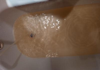 Фото: группа «Рязань» в соцсети «ВКонтакте»