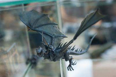 В Рязани можно познакомиться с крохотными фигурками Сталина, Назгула и зимующей русалки