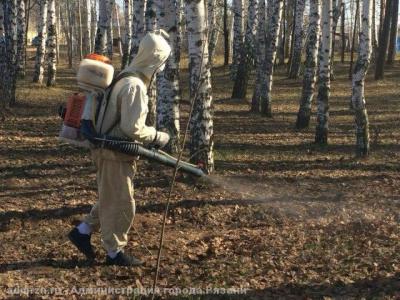 Парки Рязани обработают от клещей