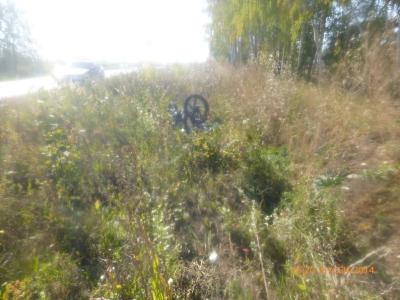 При лобовом столкновении мотоцикла с мопедом в Шиловском районе погибли оба водителя